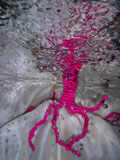 ‘Alien from the pink land of dreams’, Maksym Tovstyzhenko, 13 years old, (teacher T.D. Azarenko), Kharkiv