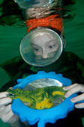 ‘Crocodile’s life with people’, Anastasiia Vynnyk, 11 years old, (teacher T.D. Azarenko), Kharkiv