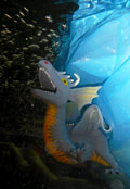 ‘Adventures of the sea dragon’, Yevhen Iluridze, 13 years old, (teacher T.D. Azarenko), Kharkiv