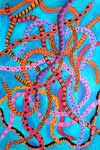 ‘Sea of snakes’, Demash Polina, 13 years, (teacher Orlova E.E.), Stakhanov