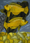‘Goldfishes’, Tatyana Dudina, 12 years, (teacher T.Yu.Drobot), Nikopol