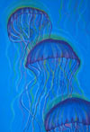 ‘Beauties of jellyfish’, Anastasia Solomakha, 13 years, (teacher V.V.Kolokolova), Gorlovka