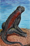 ‘A sea iguana’, Ekaterina Korotkikh, 11 years, (teacher A. N. Yermilova), Molodogvardeysk