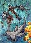 ‘Shark feeding’, Vladislav Konovalov, 14 years, (teacher R.Boldyrev), Vorkuta