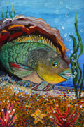 ‘Parrot fish’, Ivan Koval, 11 years, (teacher A.N. Ermilova), Krasnodon