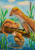 ‘The family of otters’, Evgenyy Volikov, 10 years, (teacher A.N. Ermilova), Krasnodon