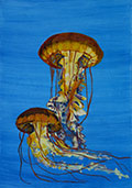 ‘Jellyfishes’, Solomiya Grytsenko, 15 years old, (teacher L.O. Mammadova), Cherkasy
